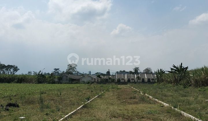 Tanah Strategis Di Pakis Cocok Untuk Kavlingan. Tanah Strategis Di Pakis Cocok Untuk Kavlingan.