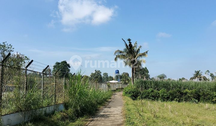 Tanah Kebun Murah Di Poncokusumo. Malang Tanah Kebun Murah Di Poncokusumo. Malang