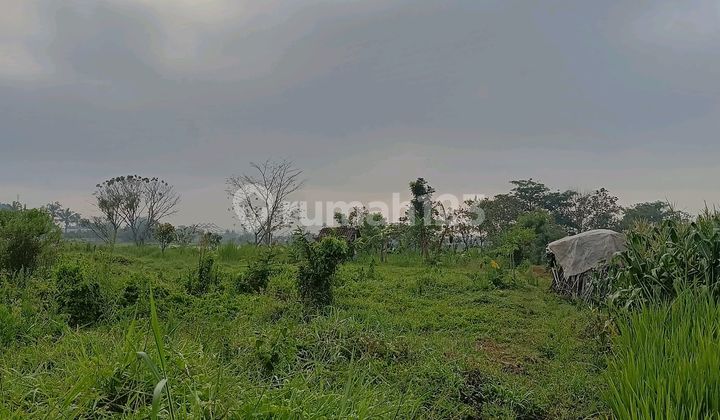Super Murah.tanah Sawah Di Katangploso Super Murah.tanah Sawah Di Katangploso
