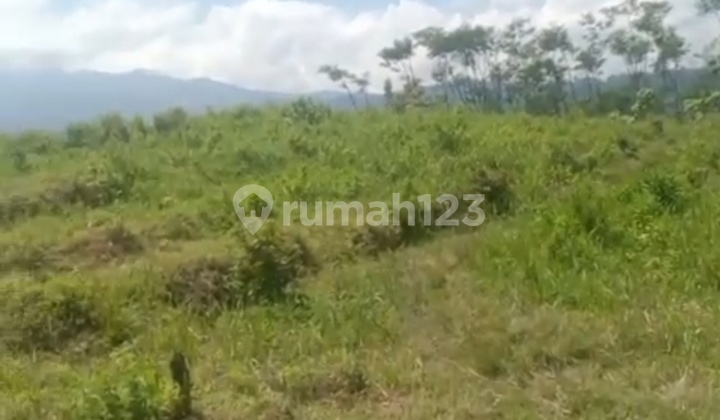 Very Cheap Large Land Suitable for Stables and Agriculture, Poncokusumo, Malang