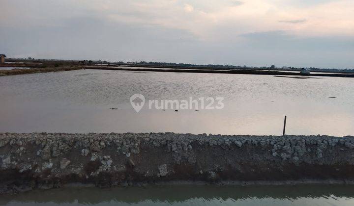 Dijual Cepat Tanah Tambak di Karawang 2