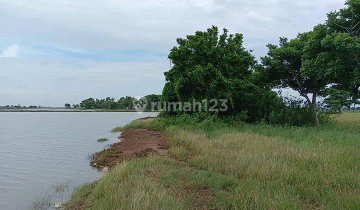 Dijual Cepat Tanah Tambak, Sawah Bonus Rumah di Karawang  2