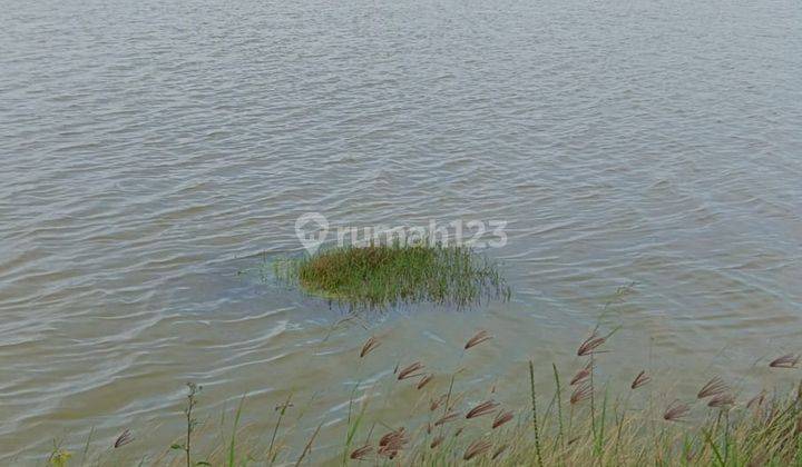 Dijual Cepat Tanah Tambak, Sawah Bonus Rumah di Karawang  1