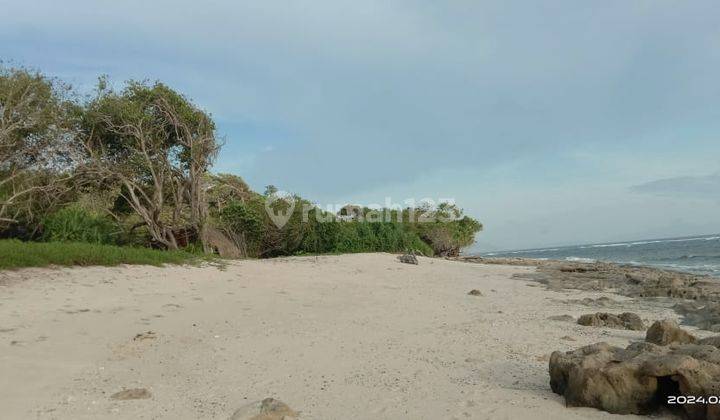 Lahan Cocok Untuk Hotel, Villa di Pantai Baliloku Sumba Nusa Tenggara Timur 2