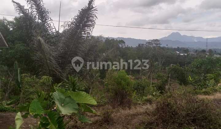 Jual Cepat Lahan Luas di Cimaherang Sukabumi Jual Cepat Lahan Luas di Cimaherang Sukabumi