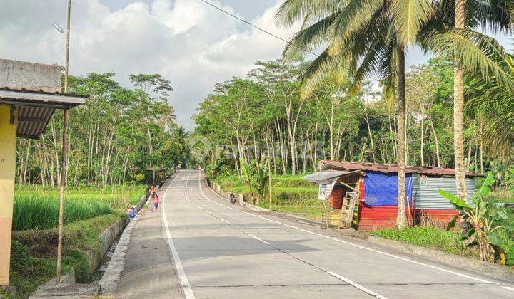 Di jual Tanah SHM sawah cocok untuk usaha  1