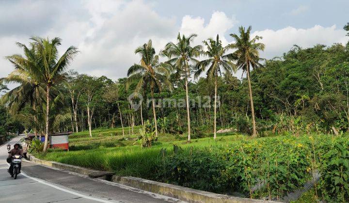 Di jual Tanah SHM sawah cocok untuk usaha  3