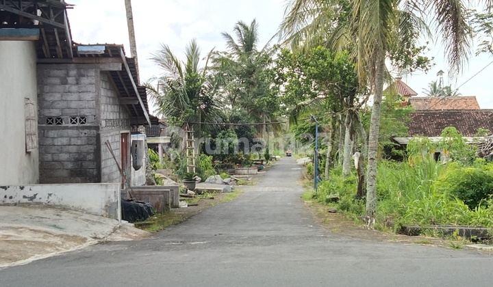 Di jual Tanah SHM sawah dekat jalan cangkringan pakem Sleman Yogyakarta  3