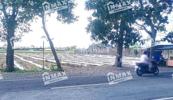 Dijual Tanah Luas Strategis Nol Jalan Raya Petung Rogojampi Banyuwangi Harga Murah Masih Nego SHM 1