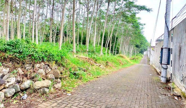 Jual Tanah Komersil 13000 m Murah Nol Jalan Raya Strategis untuk dibangun Tempat Wisata,Pabrik,Gudang,Industri area Bandulan dekat Dau Malang 4