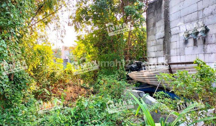 Jual Tanah Luas Siwalankerto Murah Sekali Banting Harga Cuma 500meter Dari UK Petra Hadap Timur Dijamin Termurah Bawah Harga Pasar 1