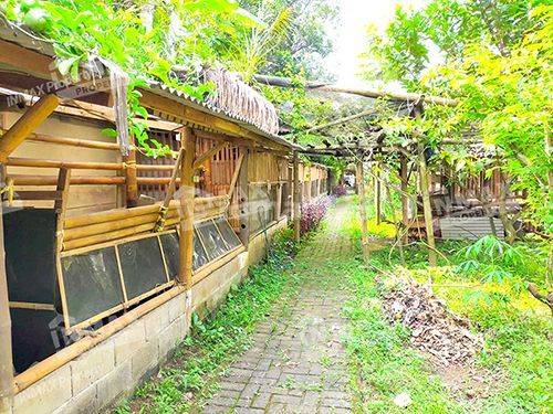 Dijual Tanah Komersil Dau Malang Batu Strategis Usaha Resto &cafe 2