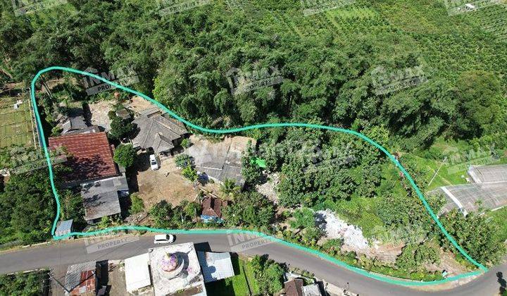 Dijual Tanah+Bangunan Luas Nol Jalan Raya Petungsewu Dau Malang-Batu Strategis Segala Usaha Perkebunan,Hotel,Industri&Wisata 1