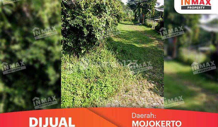 Dijual Tanah SHM Strategis Ketapanrame Trawas Mojokerto Harga  2