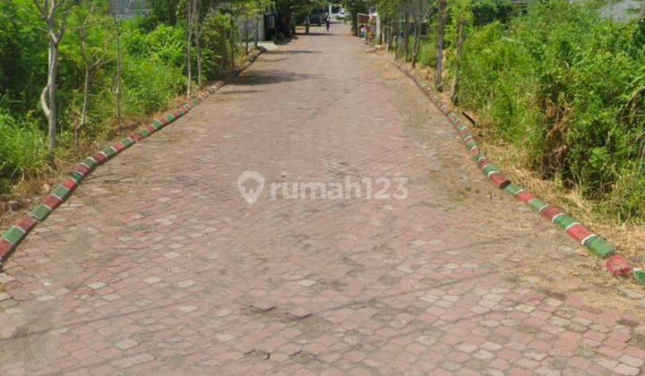 Dijual Tanah Luas Murah Banget Daerah Wonorejo Dekat Stikom,Merr,Grand Semanggi Hadap Timur.BU 2