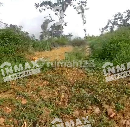 For Sale: Cheap Land, 3257 sqm, Prigen Sekarmojo, Pasuruan, Alternative Road Sby-trawas, Near Chengho Mosque, Suitable for Restaurant/Cafe, Aesthetic/Build a Tourist Spot. For Sale: Cheap Land, 3257 sqm, Prigen Sekarmojo, Pasuruan, Alternative Road Sby-trawas, Near Chengho Mosque, Suitable for Restaurant/Cafe, Aesthetic/Build a Tourist Spot.