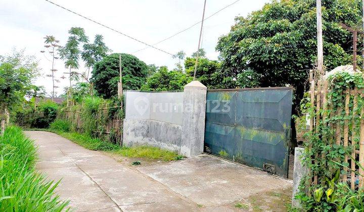 Dijual Tanah Murah Luas+ Rumah Poncokusumo Tumpang Ngadireso Dekat Bromo Kabupaten Malang Cocok Untuk Investasi,Hunian,Usaha,Kebun& Gudang