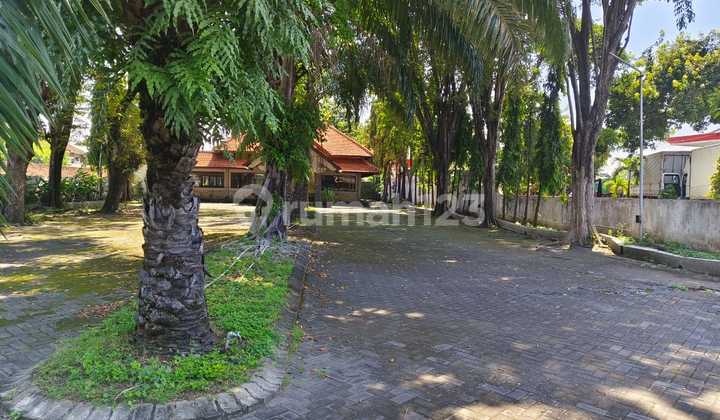 For Rent: 3000 sqm Commercial Space with the Widest Parking Area on Raya By Pass Gempol Pasuruan. Suitable for Restaurants, Offices, Warehouses, Expeditions/Truck Garages. For Rent: 3000 sqm Commercial Space with the Widest Parking Area on Raya By Pass Gempol Pasuruan. Suitable for Restaurants, Offices, Warehouses, Expeditions/Truck Garages.