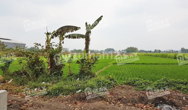 Dijual Tanah Luas 5115m Strategis Nol Jalan Raya Mondoroko Singosari Cocok Investasi,dibangun Gudang/ Kompleks Ruko,perkantoran,rumah Sakit,sekolah/kampus,kantor ******** Nego Keras Dijual Tanah Luas 5115m Strategis Nol Jalan Raya Mondoroko Singosari Cocok Investasi,dibangun Gudang/ Kompleks Ruko,perkantoran,rumah Sakit,sekolah/kampus,kantor ******** Nego Keras