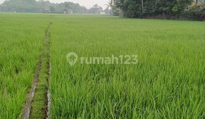 Murah Tanah Dan Lokasi Bagus Kabupaten Bandung 1