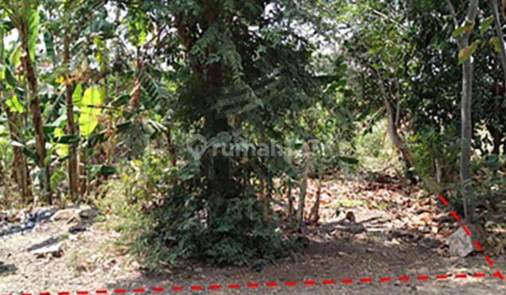 Tanah SHM Cocok Untuk Rumah di Astanajapura Cirebon 2