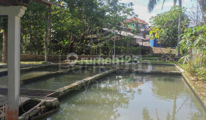 Rumah Murah Dekat Polsek Cijambe Subang  2