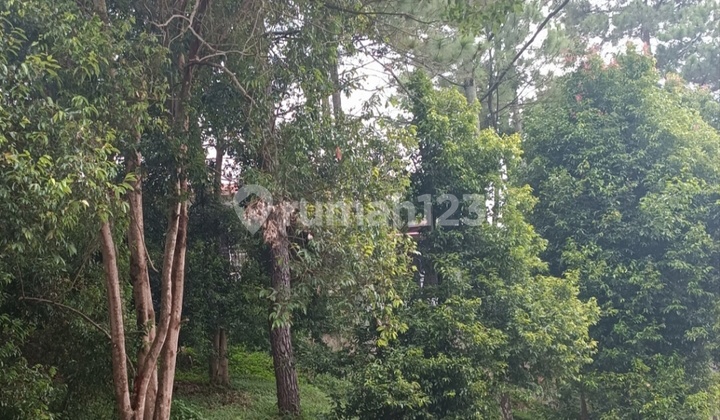 Jarang Ada Dijual Kavling Resor Dago Pakar Murah Luas 193m Jarang Ada Dijual Kavling Resor Dago Pakar Murah Luas 193m