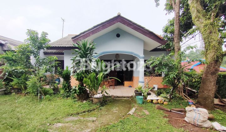 Rumah Kebun Luas Strategis Dekat Pintu Tol Margonda, Depok Rumah Kebun Luas Strategis Dekat Pintu Tol Margonda, Depok