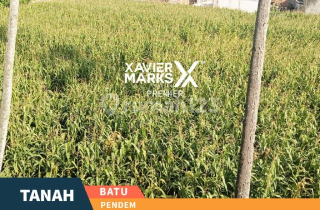 h167 Tanah Strategis Nol Jalan Provinsi Siap Dibangun 