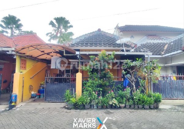 i091 Affordable House Strategic Location Blimbing Malang i091 Affordable House Strategic Location Blimbing Malang