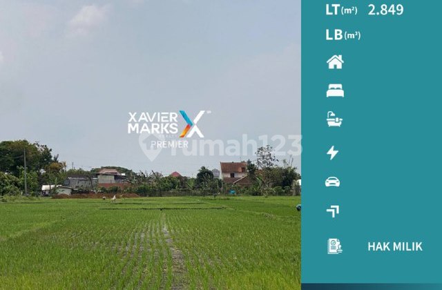 h065 Dijual Tanah Lahan Pertanian Sawah Harga Miring
