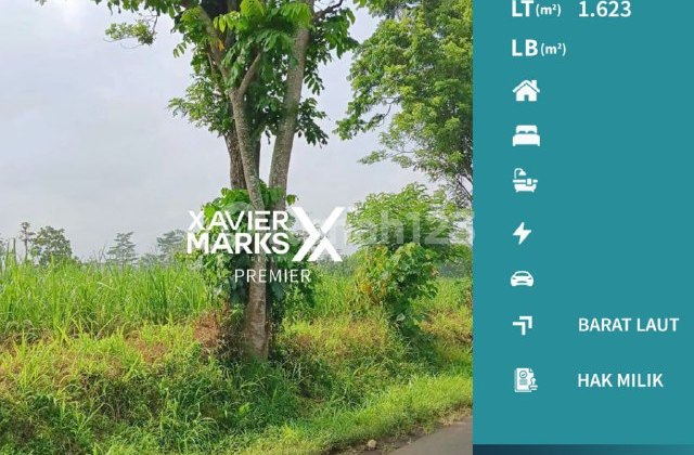 i131 Tanah Kavling Luas Bisa Untuk Gudang , GOR Lokasi Dekat Araya Malang i131 Tanah Kavling Luas Bisa Untuk Gudang , GOR Lokasi Dekat Araya Malang