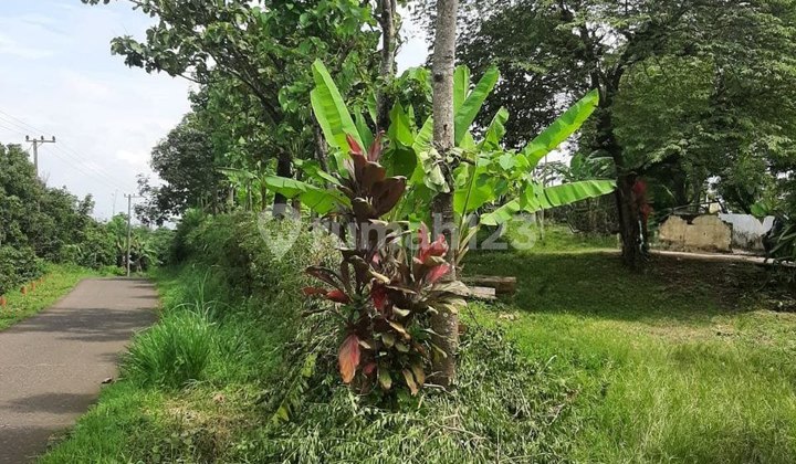 H19 For Sale Garden Land Zero Road + Ready to Build H19 For Sale Garden Land Zero Road + Ready to Build