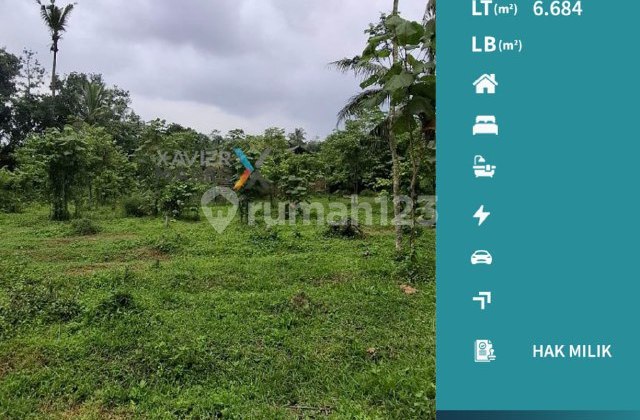 H6 Dijual Tanah di Desa Kasembon, Bululawang Malang