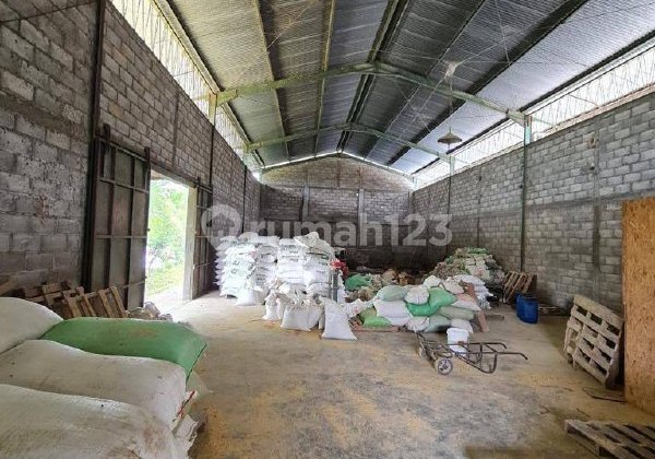 h131 Urgent Sale! Fully Profitable Livestock Farm, Pasuruan Area h131 Urgent Sale! Fully Profitable Livestock Farm, Pasuruan Area