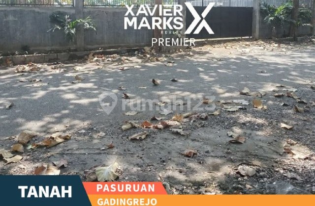 K177 Tanah Disewakan Murah, Dekat Area Industri Pasuruan K177 Tanah Disewakan Murah, Dekat Area Industri Pasuruan