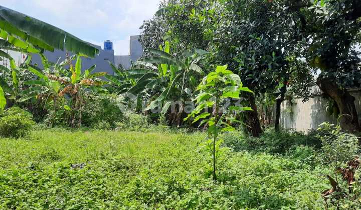 Ready-to-Build Plot on Jl Muara, Jagakarsa, South Jakarta Ready-to-Build Plot on Jl Muara, Jagakarsa, South Jakarta