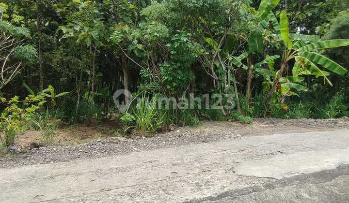 Kavling Siap Bangun Di Desa Kedung Sari Kulonprogo Jogjakarta Kavling Siap Bangun Di Desa Kedung Sari Kulonprogo Jogjakarta