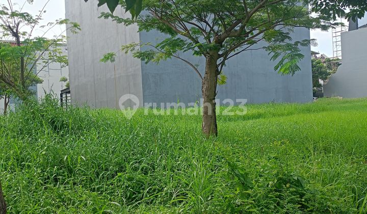 For Sale Green Lake City Cluster: Ebony Plot Area: 200 m2 For Sale Green Lake City Cluster: Ebony Plot Area: 200 m2