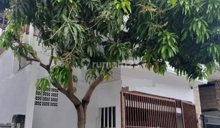 Perumahan Daan Mogot Estate  8