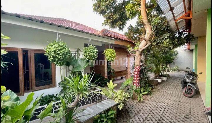 Dijual Cepat Rumah Dan Kontrakan di Jl Jeruk Manis 2