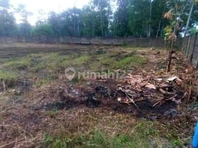 Dijual Cepat Tanah di Jalan Raya Pohon Jati 1