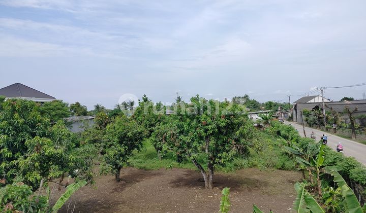 Dijual Tanah Komersil Pinggir Jalan Siap Bangun di Teluk Naga Tangerang Dijual Tanah Komersil Pinggir Jalan Siap Bangun di Teluk Naga Tangerang