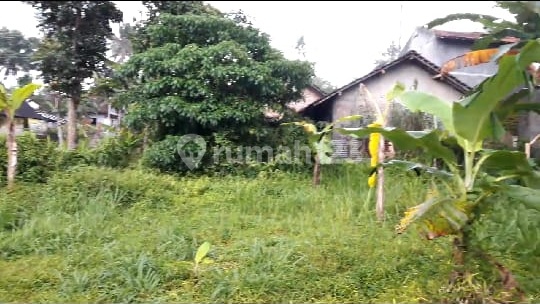 Tanah tengah kota Salatiga strategis murah dekat UKSW dijual di Cempakasari Kutowinangun Tingkir Salatiga 2