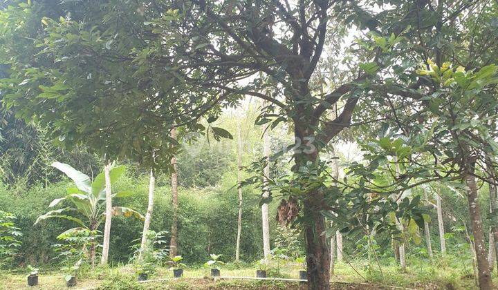 Tanah perumahan strategis tengah kota Salatiga dekat kampus UKSW dekat tol dijual di Villa serenata Tegalrejo Argomulyo Salatiga 6
