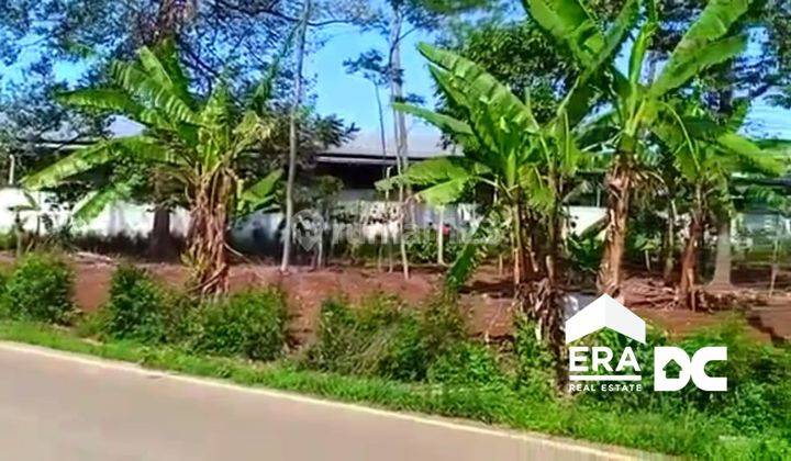 Tanah strategis murah di jalan utama area ramai dijual di jl raya Singorojo boja kab Kendal 2