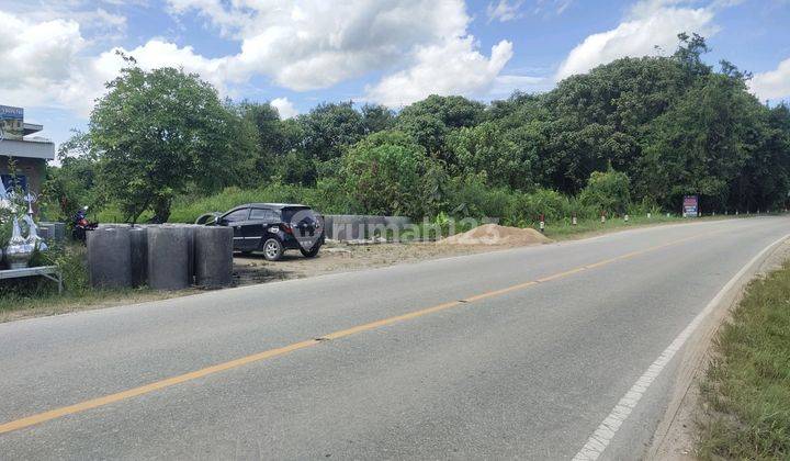 Tanah Murah Komersial Tebelian Sintang Kalimantan Barat 2