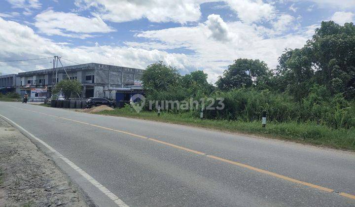 Tanah Murah Komersial Tebelian Sintang Kalimantan Barat 8