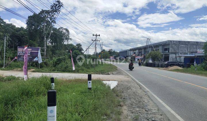 Tanah Murah Komersial Tebelian Sintang Kalimantan Barat 1