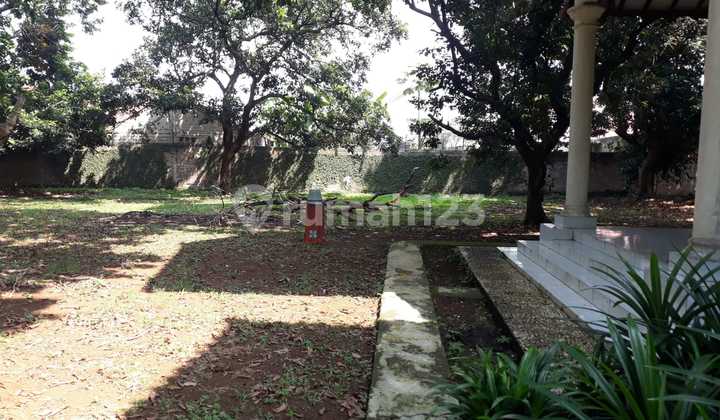 Land for Sale Cheap in Beji Depok Land for Sale Cheap in Beji Depok